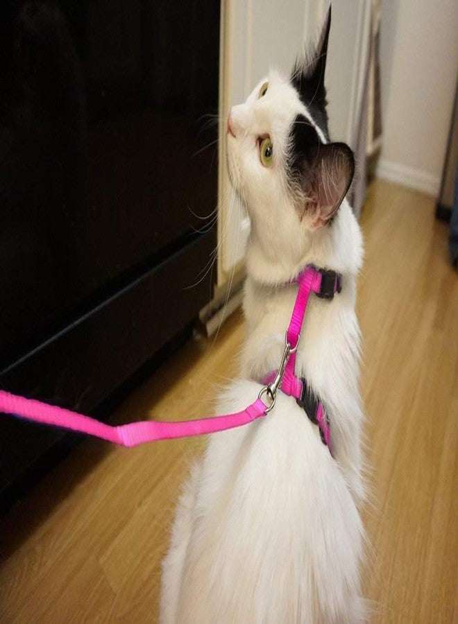 The DDS Store Adjustable Cat Walking Harness Nylon Strap Collar with Leash,Cat Leash and Harness Set Escape Proof (Pink) - Image 3